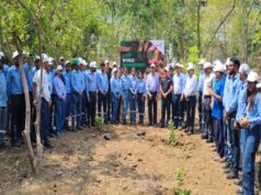 Jindal Steel Limited Raipur’s Green Mission: World Environment Day Observed with a Tree Plantation Drive