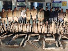बिलासपुर ट्रैफिक पुलिस का बड़ा अभियान, प्रेशर हॉर्न और मॉडिफाइड साइलेंसर पर कसा शिकंजा