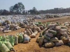 Bastar News: उठाव नहीं होने से सड़ गई करोड़ों की धान, किसानों ने जिम्मेदारों पर उठाए सवाल