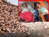 छत्तीसगढ़ में दीवार गिरने से मातम, दो बच्चों की गई जान, महिला गंभीर हालत में अस्पताल में भर्ती