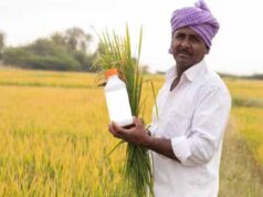 नैनो उर्वरकों का बढ़ता असर, अच्छी फसल के साथ मिट्टी की सेहत भी मजबूत