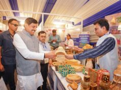लघु उद्योगों को बढ़ावा देने में मध्यप्रदेश सबसे आगे