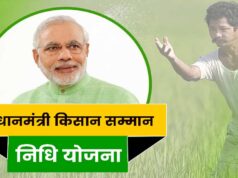 PM Kisan Yojana: घर बैठे चेक करें स्टेटस, जानें कब मिलेगा ₹2,000 का लाभ