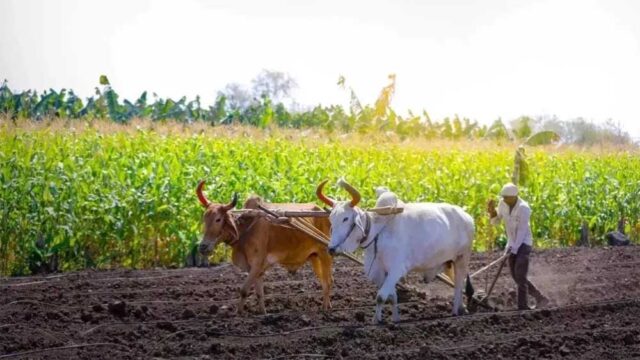 kISAN_01.jpg