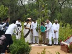 दिल्ली का रिज बनेगा ग्रीन हब, देसी पेड़ों से प्रदूषण कम करने की बड़ी तैयारी