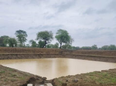 छत्तीसगढ़ में ‘मोर गांव-मोर पानी’ अभियान बना जनआंदोलन, मुख्यमंत्री विष्णु देव साय की पहल को मिल रहा व्यापक सहयोग