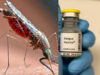 Dengue Vaccine QDENGA: भारत में पहली डेंगू वैक्सीन को हरी झंडी, WHO की सिफारिश के बाद 4 से 60 साल तक के लोगों को मिलेगा लाभ