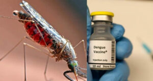 Dengue Vaccine QDENGA: भारत में पहली डेंगू वैक्सीन को हरी झंडी, WHO की सिफारिश के बाद 4 से 60 साल तक के लोगों को मिलेगा लाभ