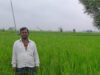 गलत धान बीज से किसानों की लाखों की फसल चौपट, फर्म संचालक पर कार्रवाई की मांग