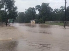 मध्य प्रदेश में बारिश का कहर! बालाघाट में 3 इंच वर्षा, नदी-नाले उफान पर; 15 जिलों में भारी बारिश की चेतावनी