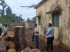 पेड़ों की अवैध कटाई पड़ी भारी, प्रधान पाठक निलंबित, अध्यक्ष और सचिव पर दर्ज होगी FIR