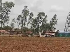 बारिश की कमी से बढ़ी किसानों की चिंता, CG में बोवनी और धान रोपाई प्रभावित