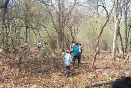 CG Murder Mystery: लापता छात्र की जंगल में मिली लाश, पत्थर से कुचलकर हत्या की आशंका