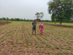 पारंपरिक खेती से आगे बढ़े किसान, लाभकारी फसलों ने बढ़ाई कमाई