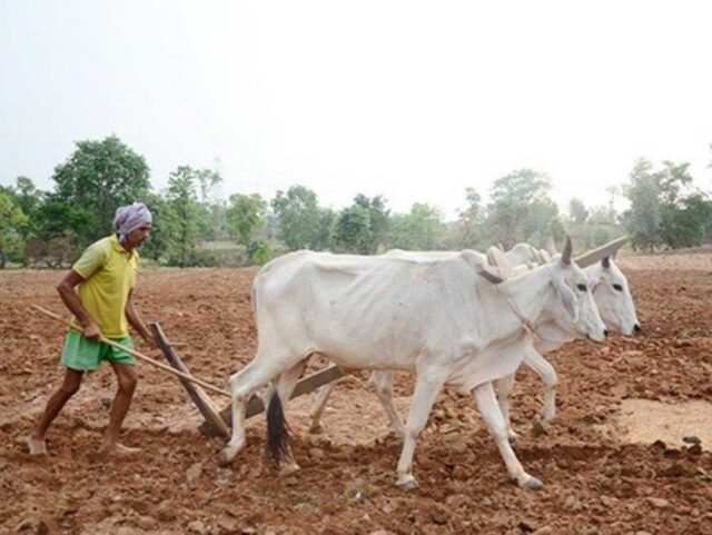 kISAN_01-1.jpg