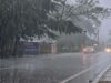 MP Rain Update: पांच दिन से हल्की बारिश, जुलाई में पहली बार वर्षा का आंकड़ा 3% से नीचे
