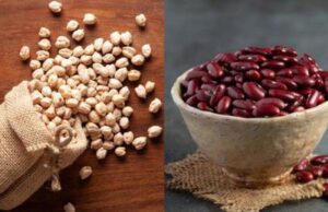 प्रोटीन के लिए राजमा, छोले या काला चना, जानिए किसमें सबसे ज्यादा प्रोटीन