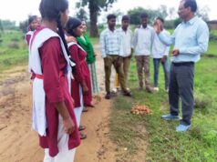 सीड बॉल से हरियाली की ओर बढ़े पिपरिया के विद्यार्थी