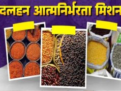 ‘मिशन फॉर आत्मनिर्भरता इन पल्सेस’ पर सरकार का बड़ा कदम, निगरानी के लिए राज्य संचालन समिति बनी
