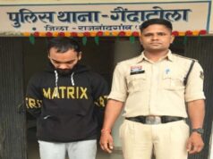 फर्जी सिम कार्ड के धंधे पर पुलिस का शिकंजा, राजनांदगांव में आरोपी गिरफ्तार; 25 हजार कैश समेत 238 SIM जब्त
