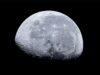 Moon पर माइक्रोब्स की सर्वाइवल क्षमता ने चौंकाया, NASA की स्टडी में सामने आया बड़ा खुलासा