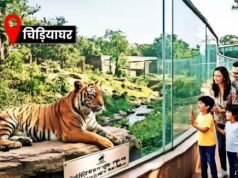 मथुरा रोड से चिड़ियाघर तक बदलेगा पूरा सिस्टम, यू-आकार की 3 लेन और आधुनिक विजिटर सेंटर बनेगा