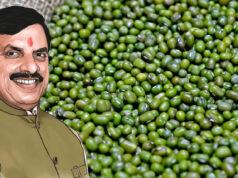 मध्य प्रदेश में MSP पर मूंग खरीदी का नया मॉडल शुरू, खरीद केंद्रों पर उमड़ रहे किसान; जानें पूरी योजना