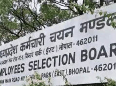 MP Govt Jobs: 2306 पदों पर भर्ती का सुनहरा मौका, पटवारी सहित कई विभागों में वैकेंसी; जानें आवेदन की आखिरी तारीख