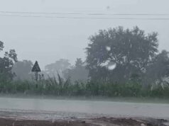 CG Weather Update: 3 दिन बाद फिर एक्टिव होगा मानसून, रायपुर समेत कई जिलों में आज बारिश का अलर्ट