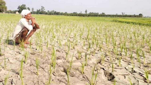 Chhattisgarh_News_05-2-5.jpg