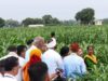 किसानों के लिए संबल बना राष्ट्रीय खाद्य सुरक्षा एवं पोषण मिशन, अम्बिकापुर में मिल रहा लाभ