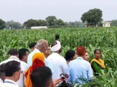 किसानों के लिए संबल बना राष्ट्रीय खाद्य सुरक्षा एवं पोषण मिशन, अम्बिकापुर में मिल रहा लाभ