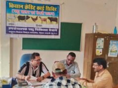 शुपालन केसीसी से धमतरी के 93 पशुपालकों को मिली 98.62 लाख की वित्तीय संजीवनी