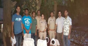अवैध मादक पदार्थों के खिलाफ एमपी पुलिस की सख्त कार्रवाई, करोड़ों की ड्रग्स जब्त कर नेटवर्क की जांच तेज