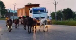 सुप्रीम कोर्ट कमेटी ऑन रोड सेफ्टी के अध्यक्ष न्यायमूर्ति सप्रे की अध्यक्षता में सम्पन्न हुई बैठक
