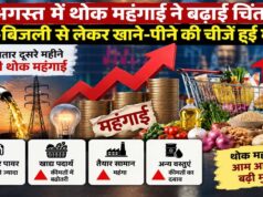 महंगाई का फिर लगा जोरदार झटका! अगस्त में तेल-बिजली और खाद्य वस्तुओं की कीमतों में बढ़ोतरी