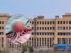 बाल झड़ना और नाखून टूटना सिर्फ सामान्य समस्या नहीं! AIIMS भोपाल में कैंसर समेत गंभीर बीमारियों को लेकर चेतावनी