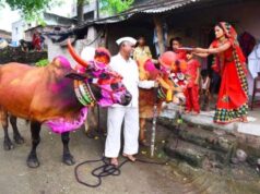 छत्तीसगढ़ में धूमधाम से मनेगा पोला पर्व, CM विष्णुदेव साय की कार्यक्रमों में होगी शिरकत