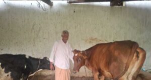 ’पीएम किसान सम्मान निधि की बचत से खरीदी पहली गाय, आज 10 गायों के साथ आत्मनिर्भर बने 75 वर्षीय परशुराम गुप्ता’