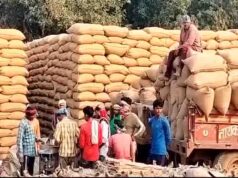 छत्तीसगढ़ के किसानों के लिए बड़ी खबर, 15 नवंबर से शुरू होगी धान खरीदी; MSP, प्रति एकड़ सीमा और टोकन के नियम जानें