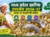 Soybean Registration: 3 अक्टूबर से शुरू होगा पंजीयन, 17 अक्टूबर है आखिरी तारीख