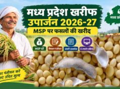 Soybean Registration: 3 अक्टूबर से शुरू होगा पंजीयन, 17 अक्टूबर है आखिरी तारीख