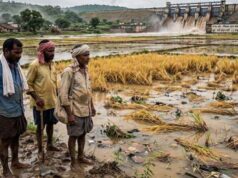 छत्तीसगढ़ में बाढ़ से किसानों को बड़ा नुकसान, धान की फसल तबाह; सरकार देगी ₹10 हजार प्रति एकड़ राहत