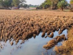बस्तर में किसानों का विरोध, मुआवजे के सर्वे से असंतुष्ट किसानों ने टीम को लौटाया