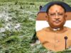 छत्तीसगढ़ में फसल नुकसान का जल्द होगा आकलन, CM साय ने अधिकारियों को दिए सर्वे के आदेश