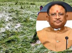 छत्तीसगढ़ में फसल नुकसान का जल्द होगा आकलन, CM साय ने अधिकारियों को दिए सर्वे के आदेश