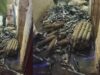त्योहारी सीजन में ग्वालियर पुलिस अलर्ट, अवैध पटाखे और विस्फोटक सामग्री बरामद; दो गिरफ्तार
